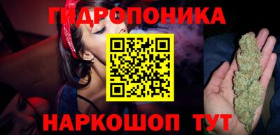 jwh Гусь-Хрустальный